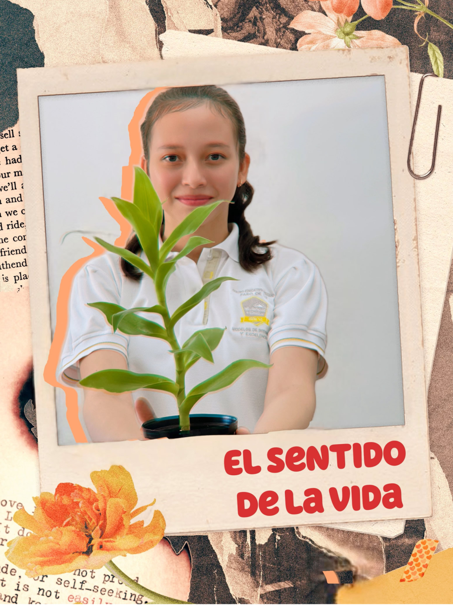 EL SENTIDO DE LA VIDA