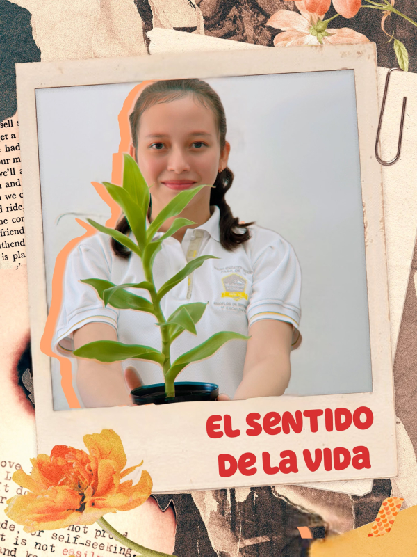 EL SENTIDO DE LA VIDA